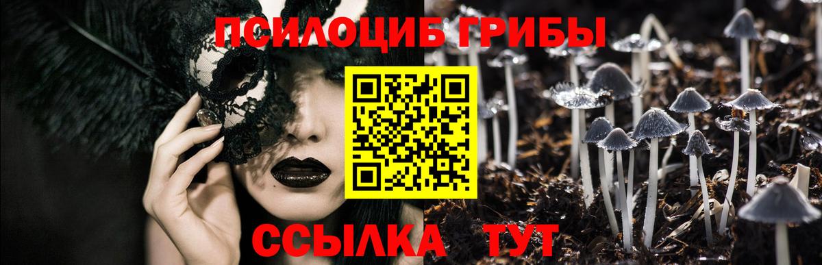 Псилоцибиновые грибы MAGIC MUSHROOMS  Псилоцибиновые грибы Cubensis  Вход с VPN  Благодарный 